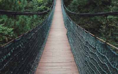 Blog -Rest in the Wrestle – The Call and Cost of Soulful Leadership