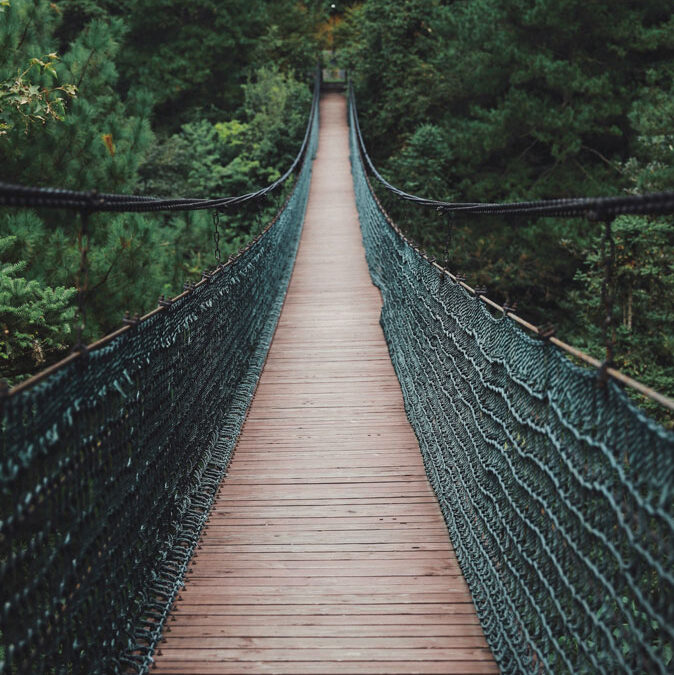 Blog -Rest in the Wrestle – The Call and Cost of Soulful Leadership